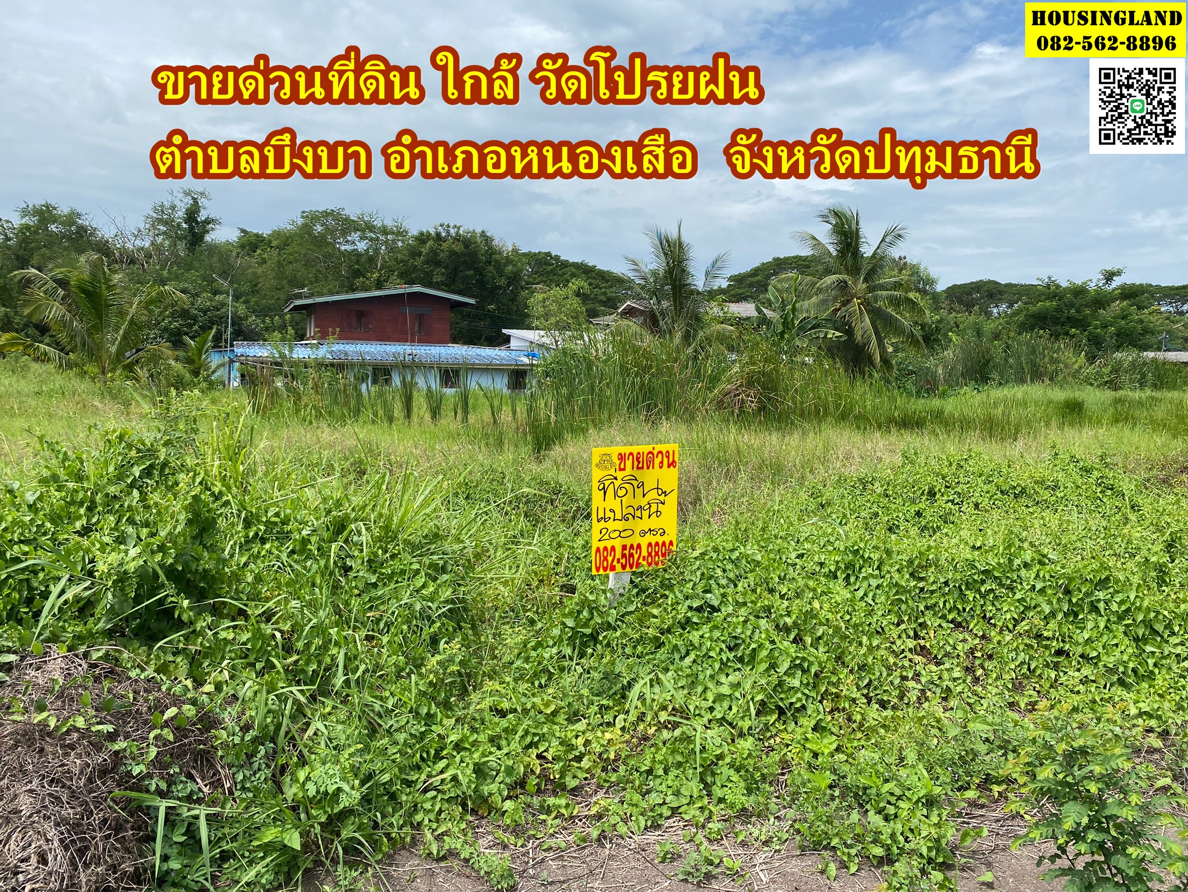 ขายด่วนที่ดินใกล้วัดโปรยฝน คลอง11 ตำบลบึงบา อำเภอหนองเสือ  จังหวัดปทุมธานี  